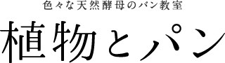色々な天然酵母のパン教室 植物とパン